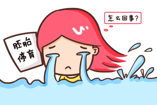 高龄备孕：怎么提高成功率？做广州第三代试管注意事项！