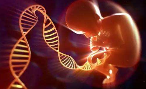 泰国第三代试管婴儿是最好的？选择试管婴儿一定要慎重考虑！